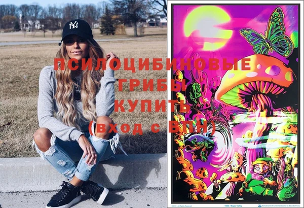 мяу мяу мука Вязьма